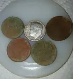 20200309_173106.webp