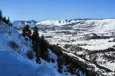2-20c.webp