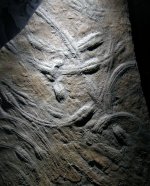 Trilobite Burrows.jpg
