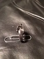 Dragon Ring Back.webp