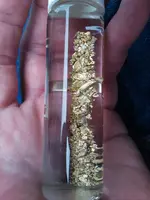 gold summer2019.webp