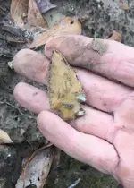 85180794_2826784480708465_7774649374293884928_n.webp