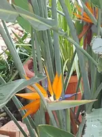 20190727_090146.webp