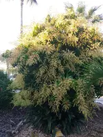 20200105_171042.webp