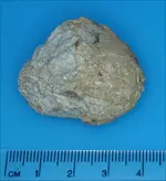 Neolithic Pot-Boiler.webp