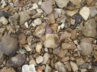 IMG_4747.webp