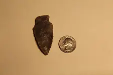 arrowhead4.webp
