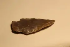 arrowhead3.webp