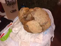 IMG_20191204_081142200.webp