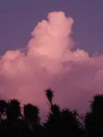 20190930_193604.webp