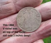 Finds 3-1-20 001.webp