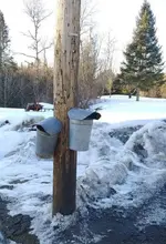 syrup.webp