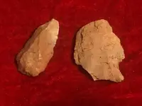 ImageUploadedByTreasureNet.com1583114692.635553.webp