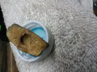 20200222_121814.webp