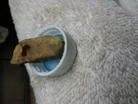 20200222_121727.webp