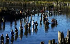 SamishRiverFishing_Mark Malijan.webp SamishRiverFishing_Mark Malijan.webp