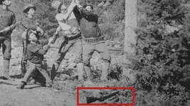 gun.webp