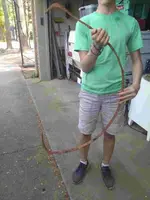 ImageUploadedByTreasureNet.com1586148235.096426.webp