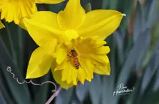 0211-1.webp