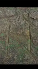 ImageUploadedByTreasureNet.com1583166968.349438.webp