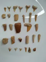 IMG20200125115806.webp