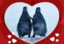 Valentines.webp