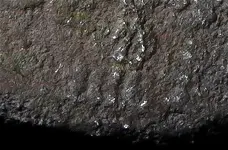 1883 shield nickle date.webp