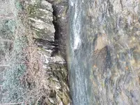 20200222_160517.webp