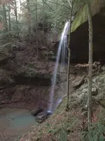 ImageUploadedByTreasureNet.com1583187042.248375.webp