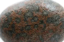 lake rock surface3.webp