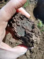 LC Dirt 2.webp