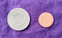 Coins B.webp