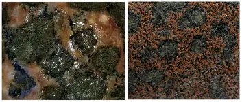 Comparison.webp
