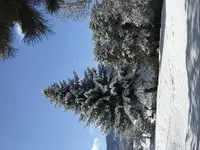 B5DFB7A4-6862-4478-A1AA-3D7C0B507280.webp