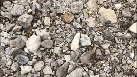 2020.04.11 - in situ.webp