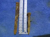 Square_and_Round_Nail_0001.webp