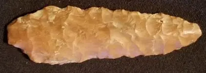 arrowhead 2 on TN 80%.webp