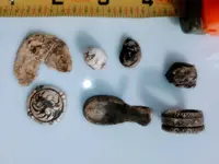 Small Farm Finds 2020.webp