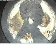 199 coin damage 4 front.webp