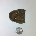 3D3C7D8E-3176-4B48-AD67-4C0FF2583071.webp