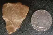 small arrowhead2 small.webp
