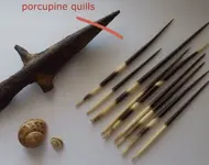 ImageUploadedByTreasureNet.com1585495861.356875.webp