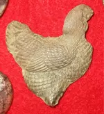 Feb 14 20 rooster.webp