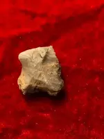 ImageUploadedByTreasureNet.com1583981762.839400.webp ImageUploadedByTreasureNet.com1583981762.839400.webp