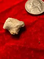 ImageUploadedByTreasureNet.com1583981789.475089.webp ImageUploadedByTreasureNet.com1583981789.475089.webp