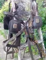 images.webp