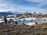 20200311_084153.webp