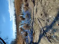 20200321_150221.webp