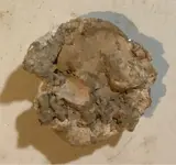 ImageUploadedByTreasureNet.com1586814081.299791.webp