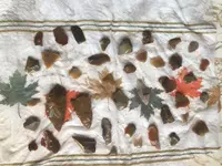 ImageUploadedByTreasureNet.com1586819257.834453.webp